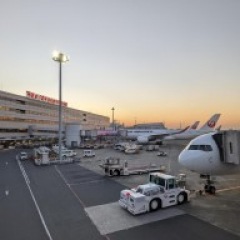 29位のイメージ