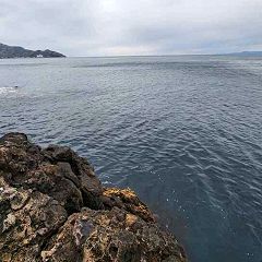 20位のイメージ