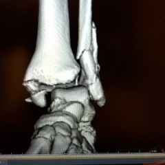 12位のイメージ