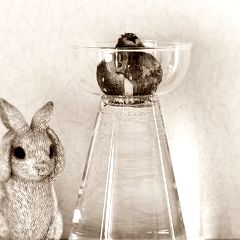 38位のイメージ