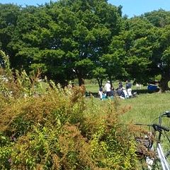 16位のイメージ