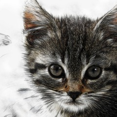 16位のイメージ