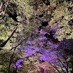 176位のイメージ