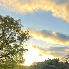 10位のイメージ