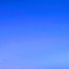 204位のイメージ