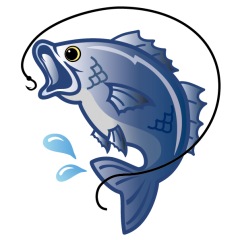 20位のイメージ