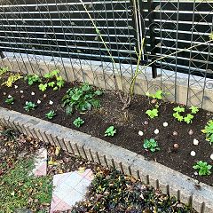 30位のイメージ