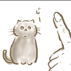 16位のイメージ