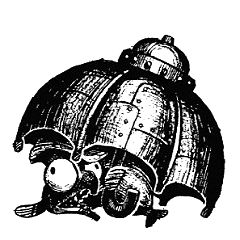 11位のイメージ