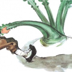 61位のイメージ