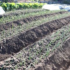 13位のイメージ