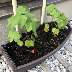 40位のイメージ