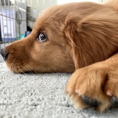 10位のイメージ