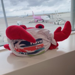 27位のイメージ