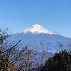 15位のイメージ