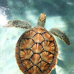 20位のイメージ