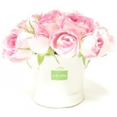 24位のイメージ