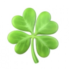 13位のイメージ