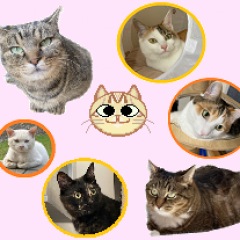 10位のイメージ