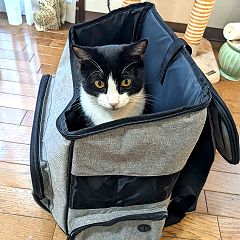 12位のイメージ