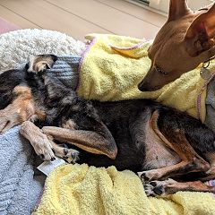 16位のイメージ