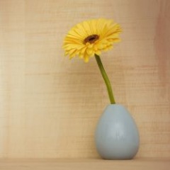 23位のイメージ