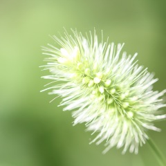 30位のイメージ