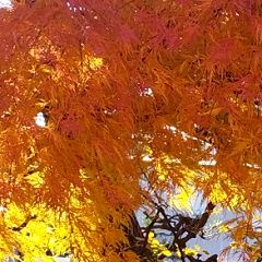 61位のイメージ