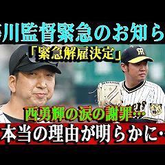 56位のイメージ