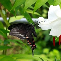 16位のイメージ