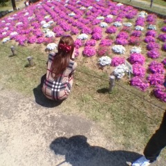 16位のイメージ