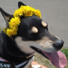 385位のイメージ