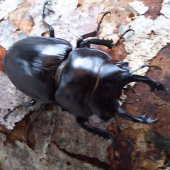 10位のイメージ