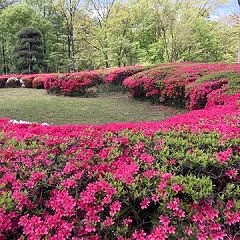 10位のイメージ