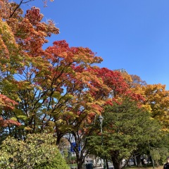 28位のイメージ