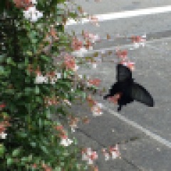 54位のイメージ