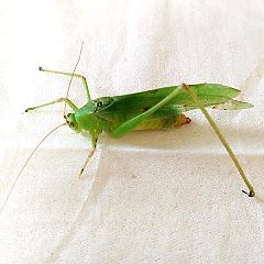 99位のイメージ