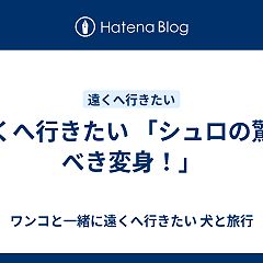 133位のイメージ