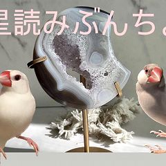 19位のイメージ