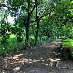 150位のイメージ