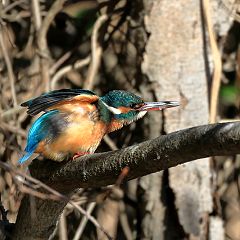 25位のイメージ