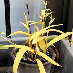 46位のイメージ