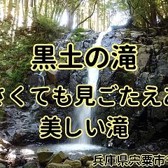 11位のイメージ