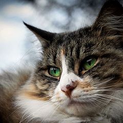 23位のイメージ