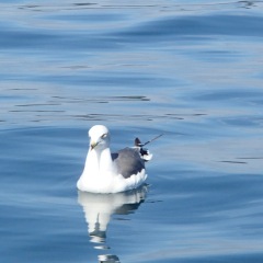 173位のイメージ