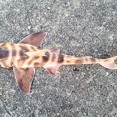 19位のイメージ