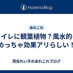 19位のイメージ