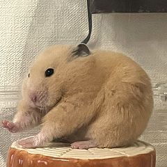 29位のイメージ