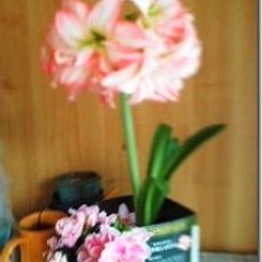 107位のイメージ