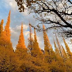 25位のイメージ